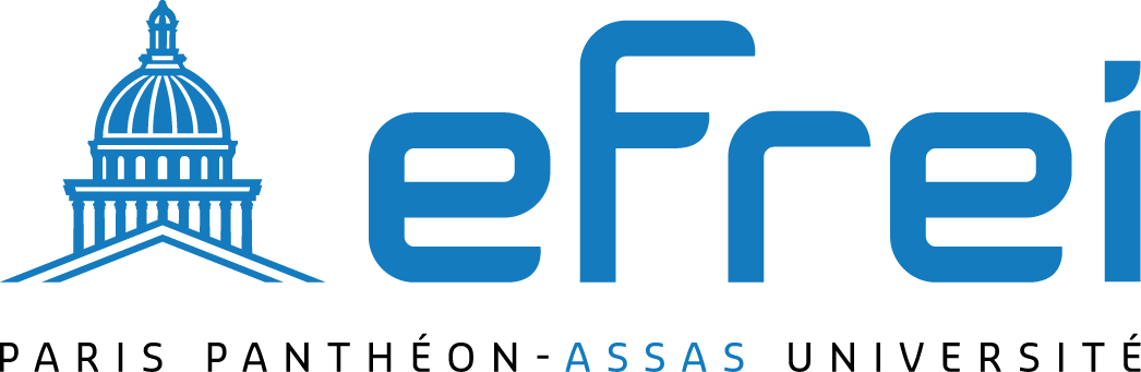 Logo EFREI